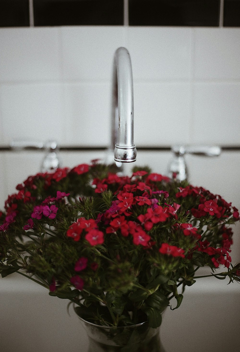 a vase filled with red flowers sitting on top of a sink