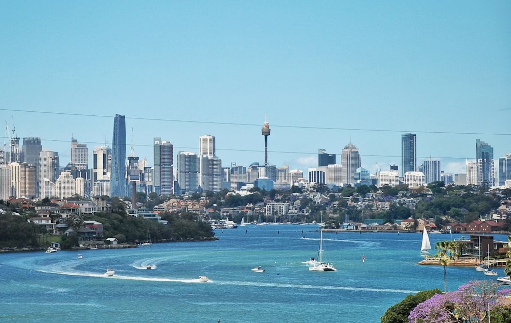 a large body of water with a city in the background