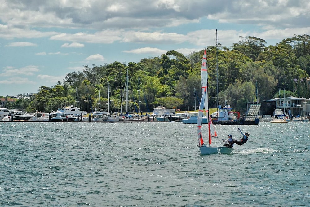 a person on a sailboat in a body of water