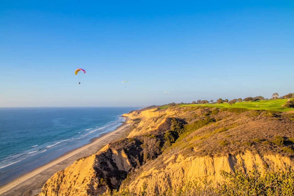 a person flying a kite on top of a hill near the ocean