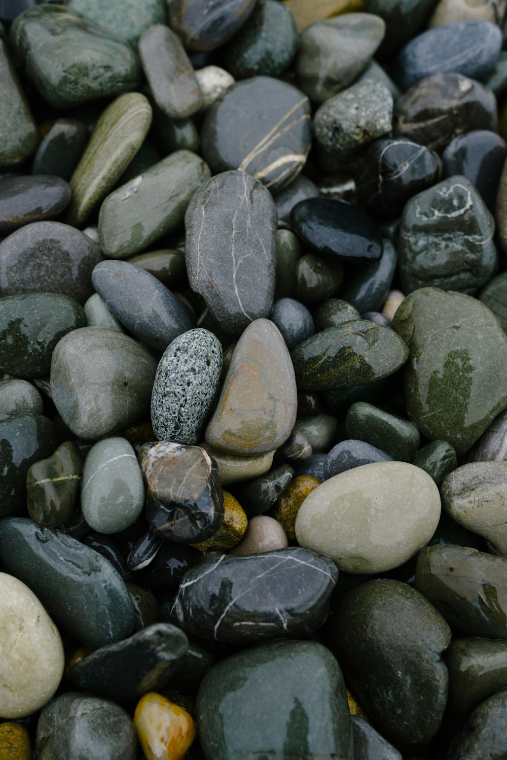 a bunch of rocks that are on the ground