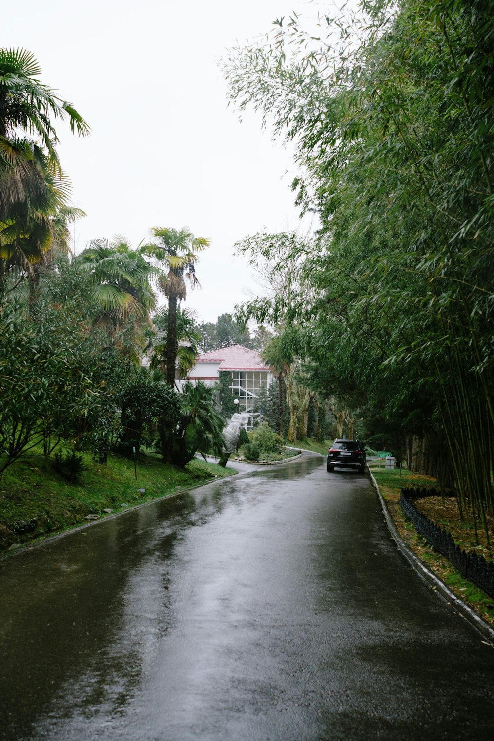 a car driving down a rain soaked street