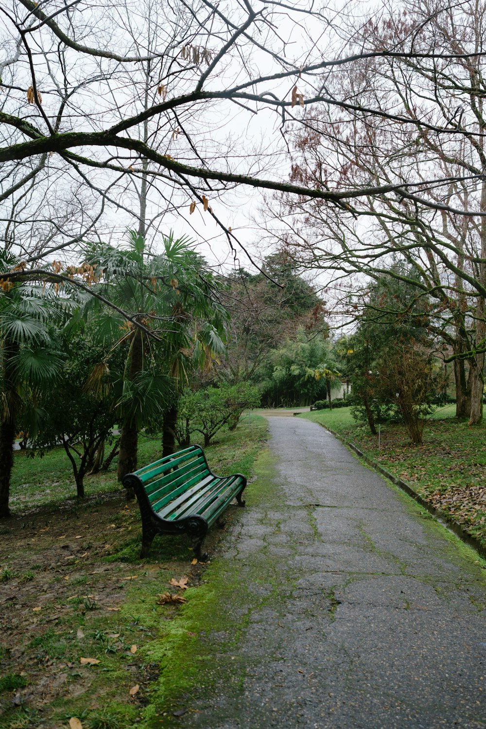 a green park bench sitting on the side of a road