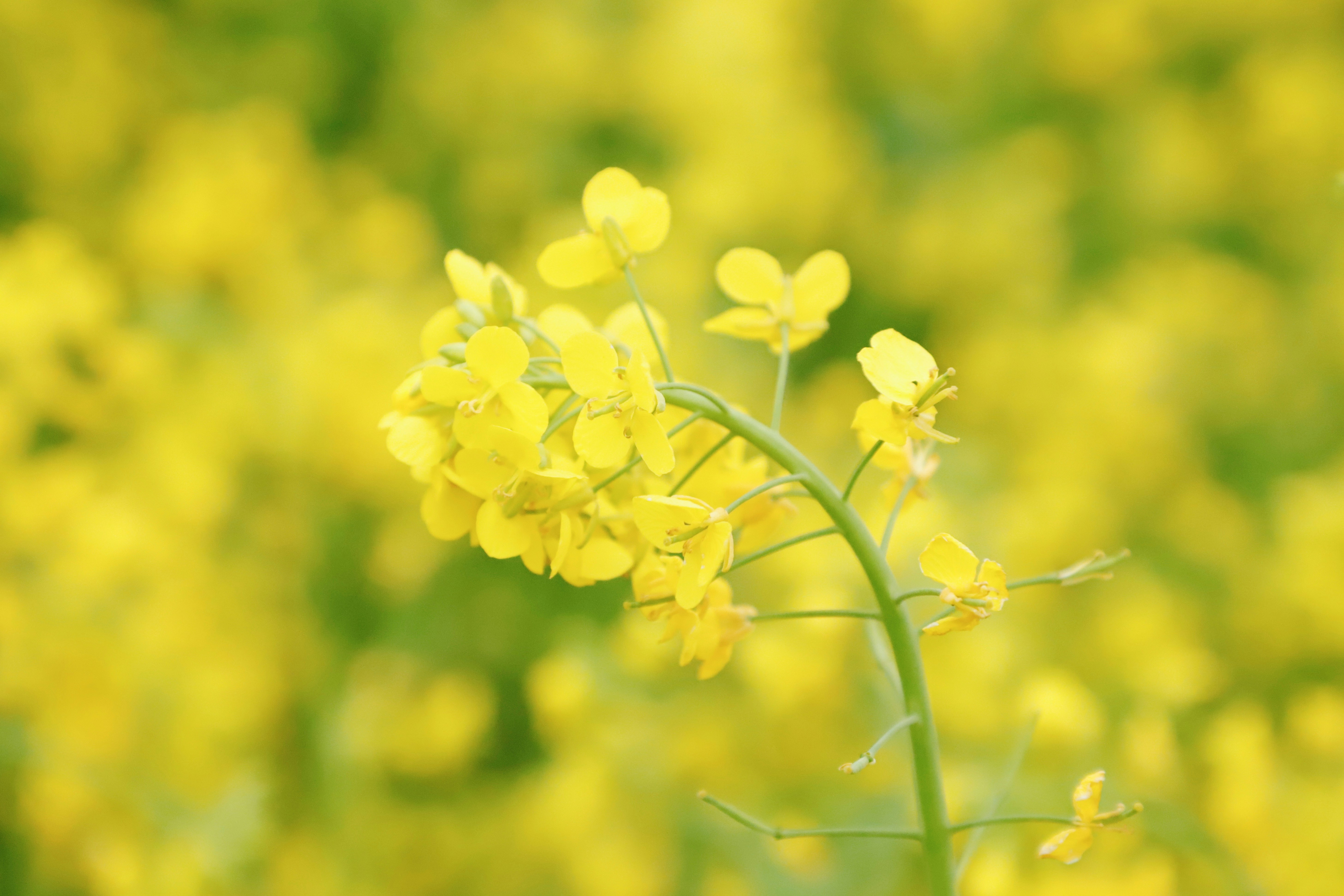 Photo by galaxyhunter