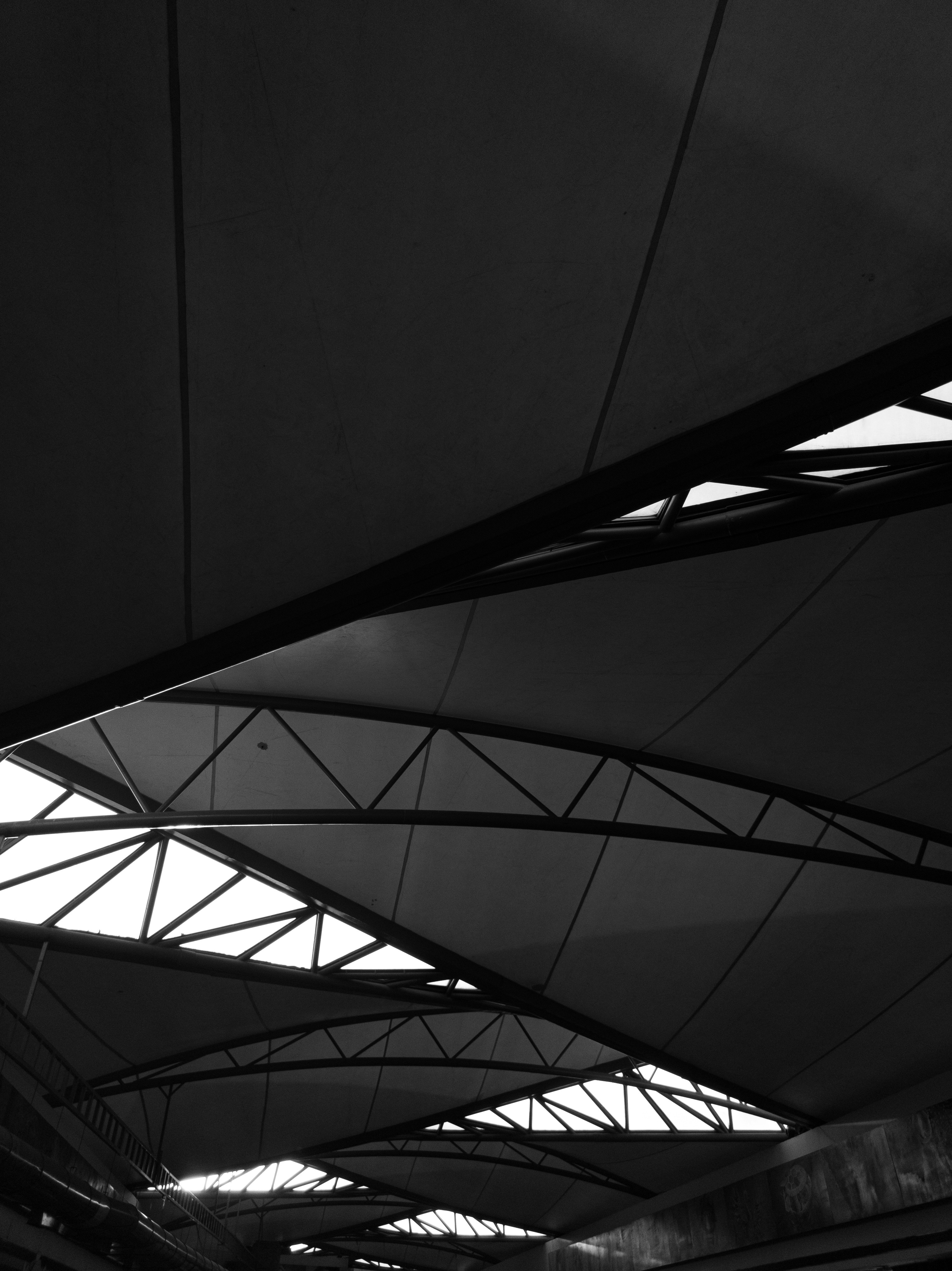 Photo by shridutt_02