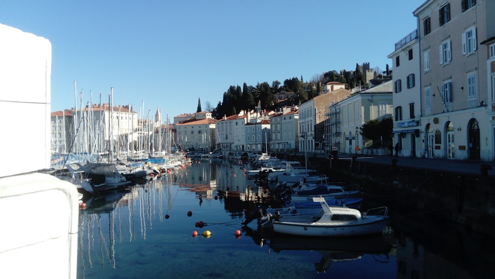 a harbor filled with lots of boats next to tall buildings