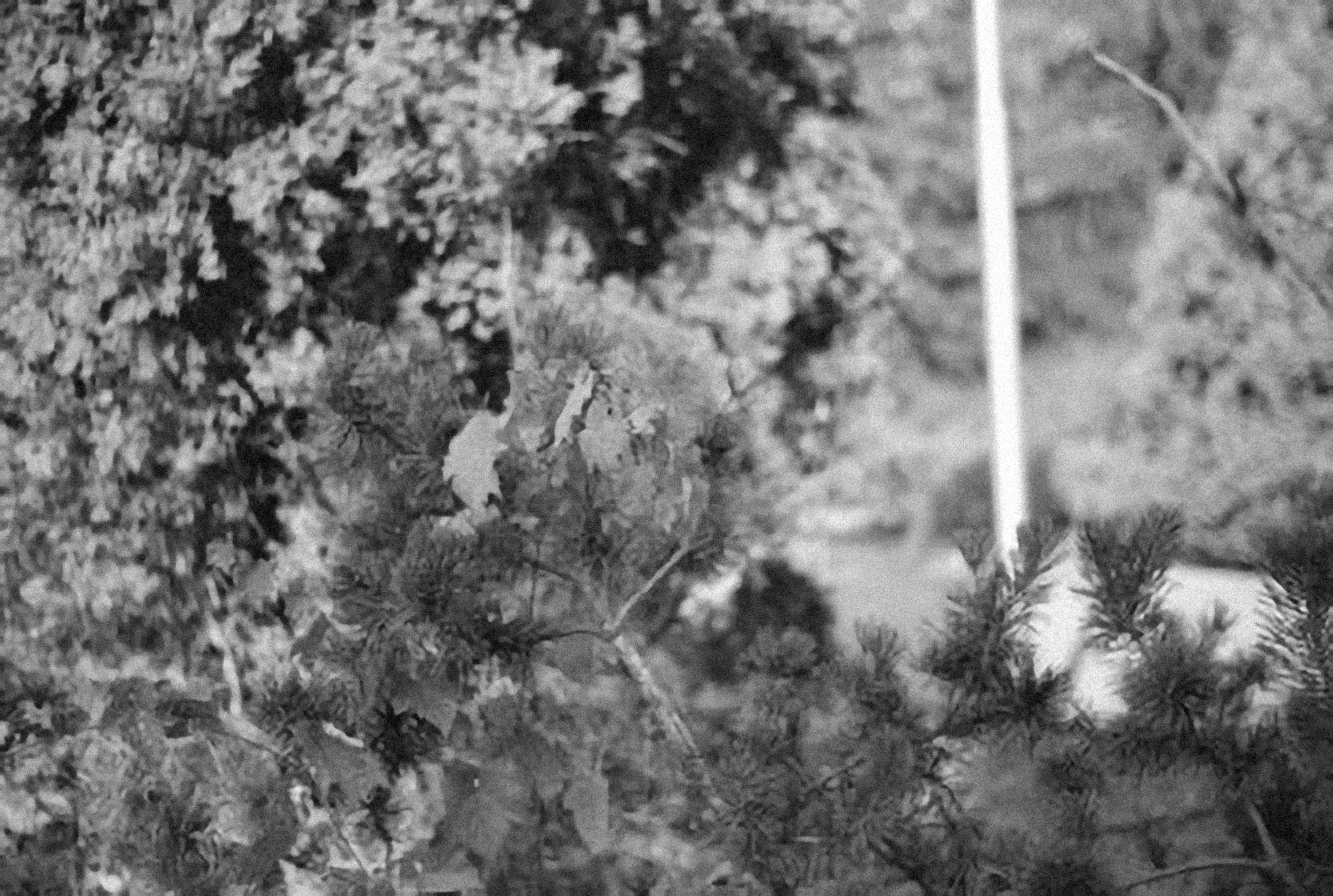 Photo by alexeydemidov