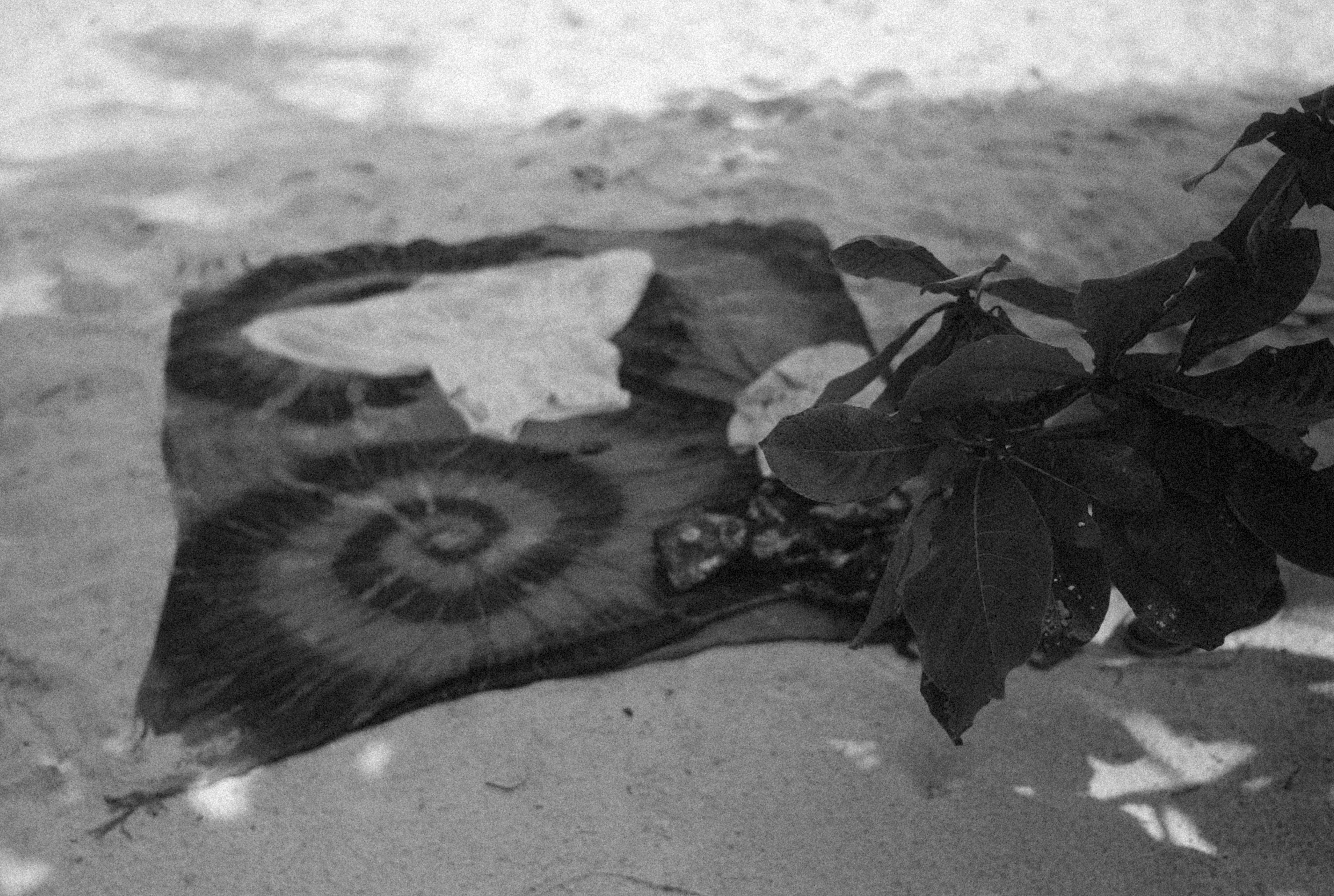 Photo by alexeydemidov