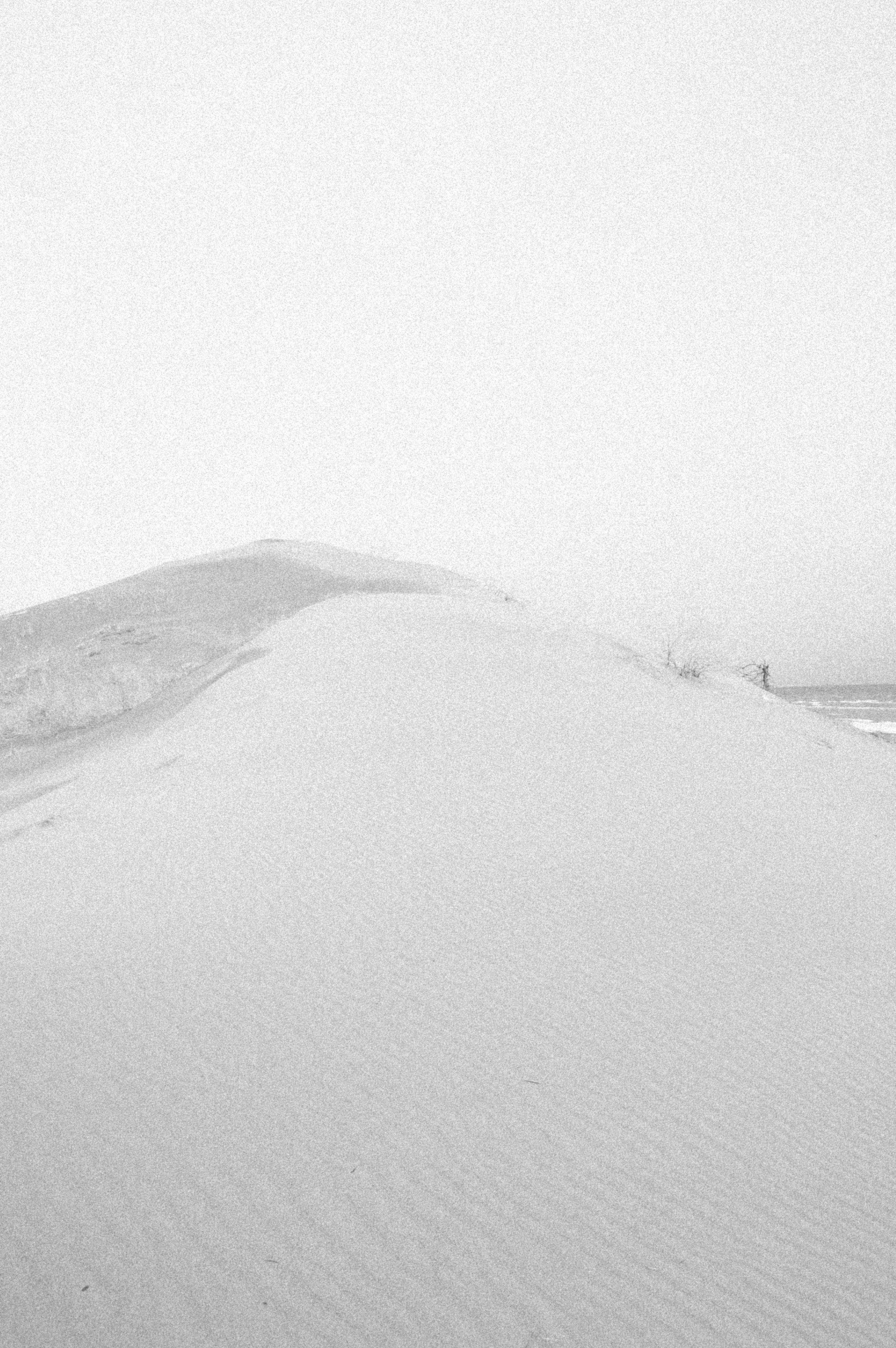 Photo by alexeydemidov