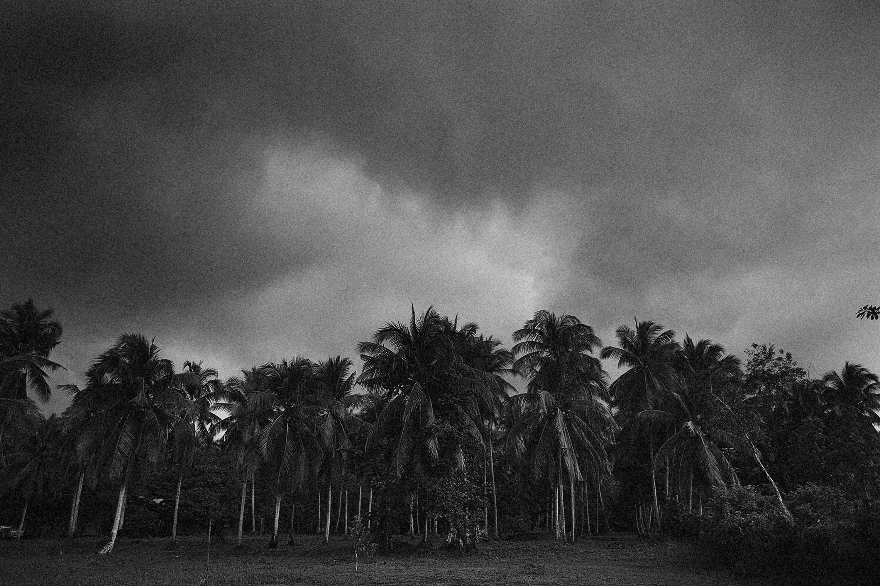 Photo by alexeydemidov