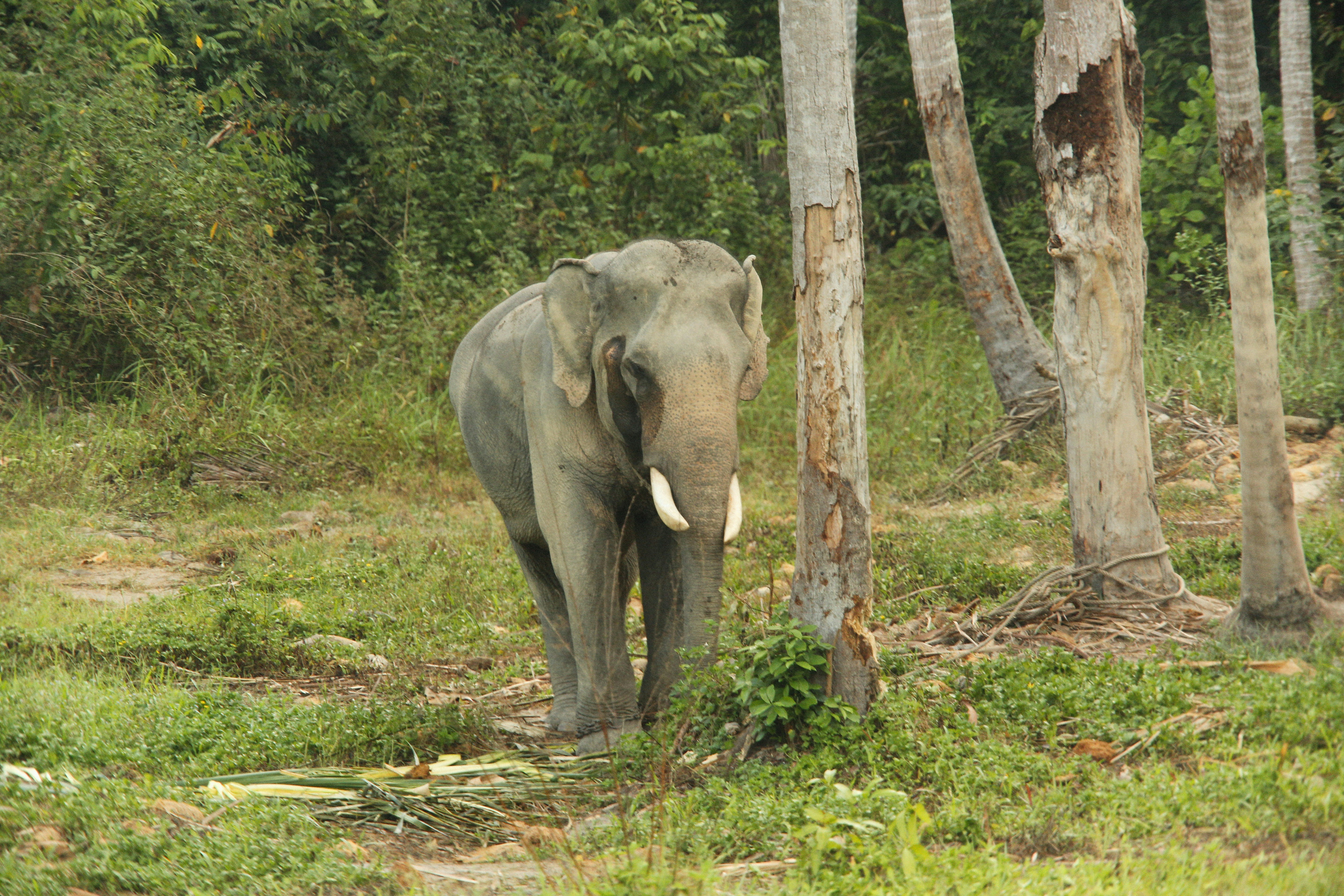 Photo by alexeydemidov