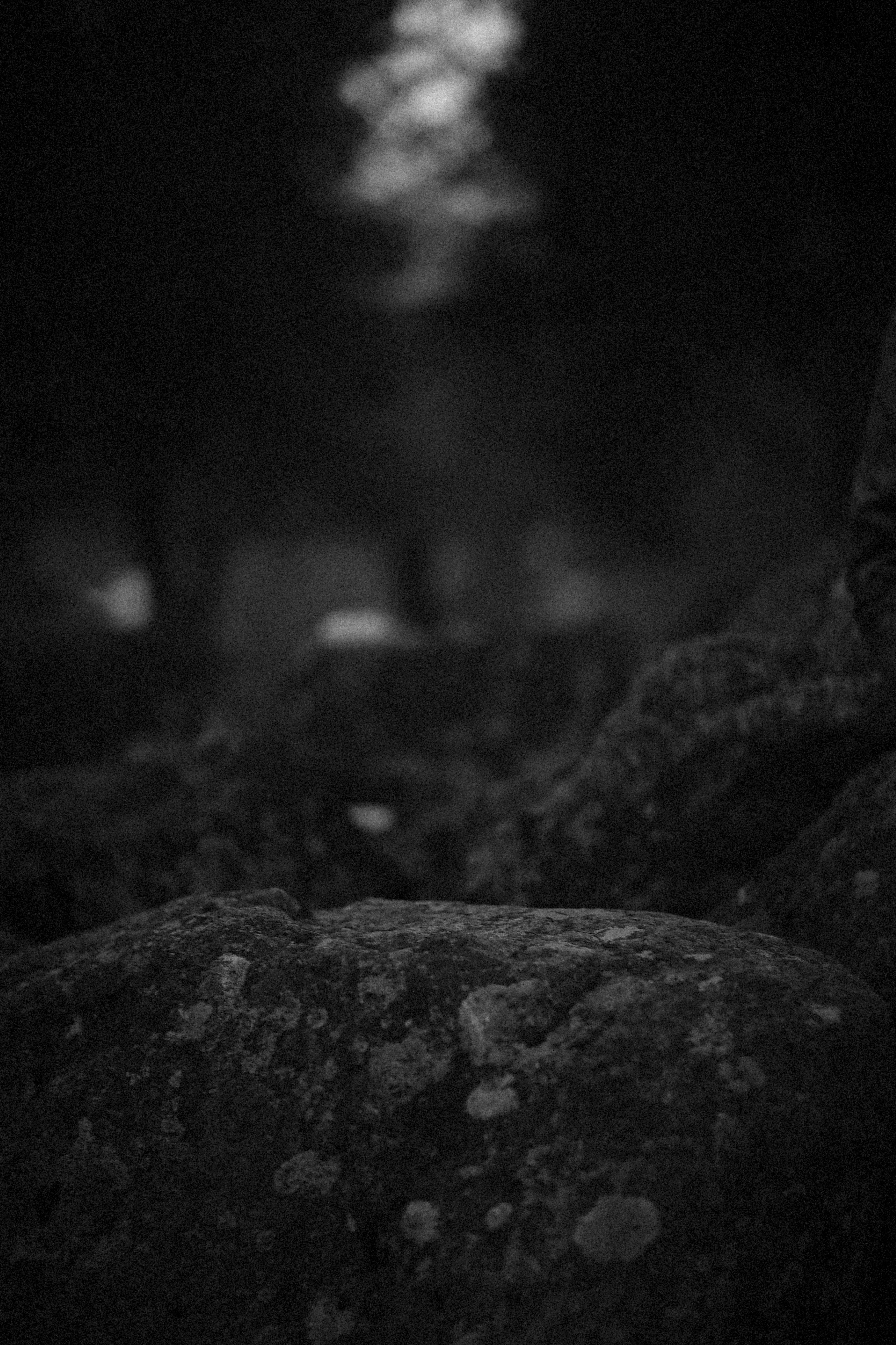 Photo by alexeydemidov