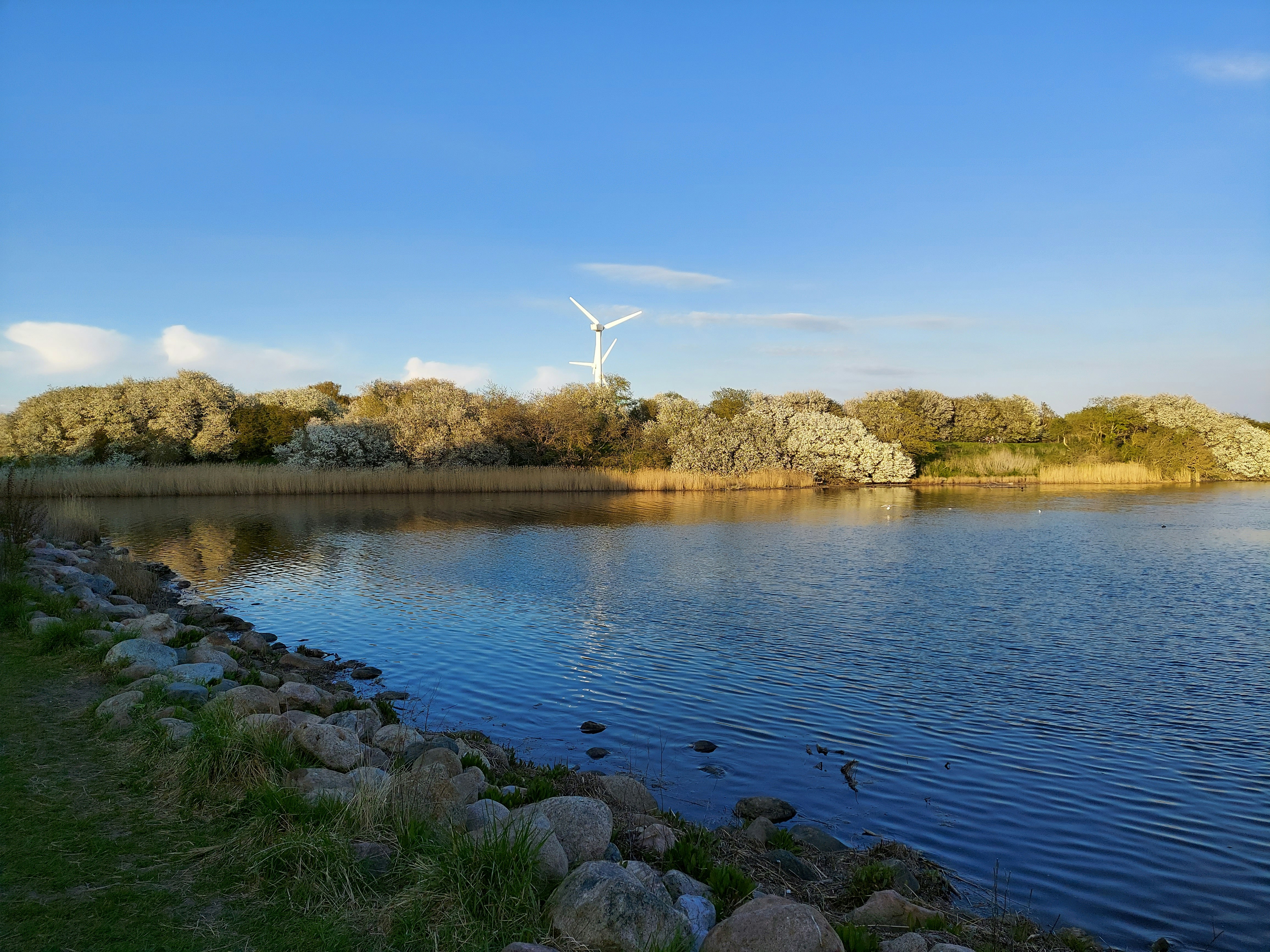 a lake with a windmill in the background