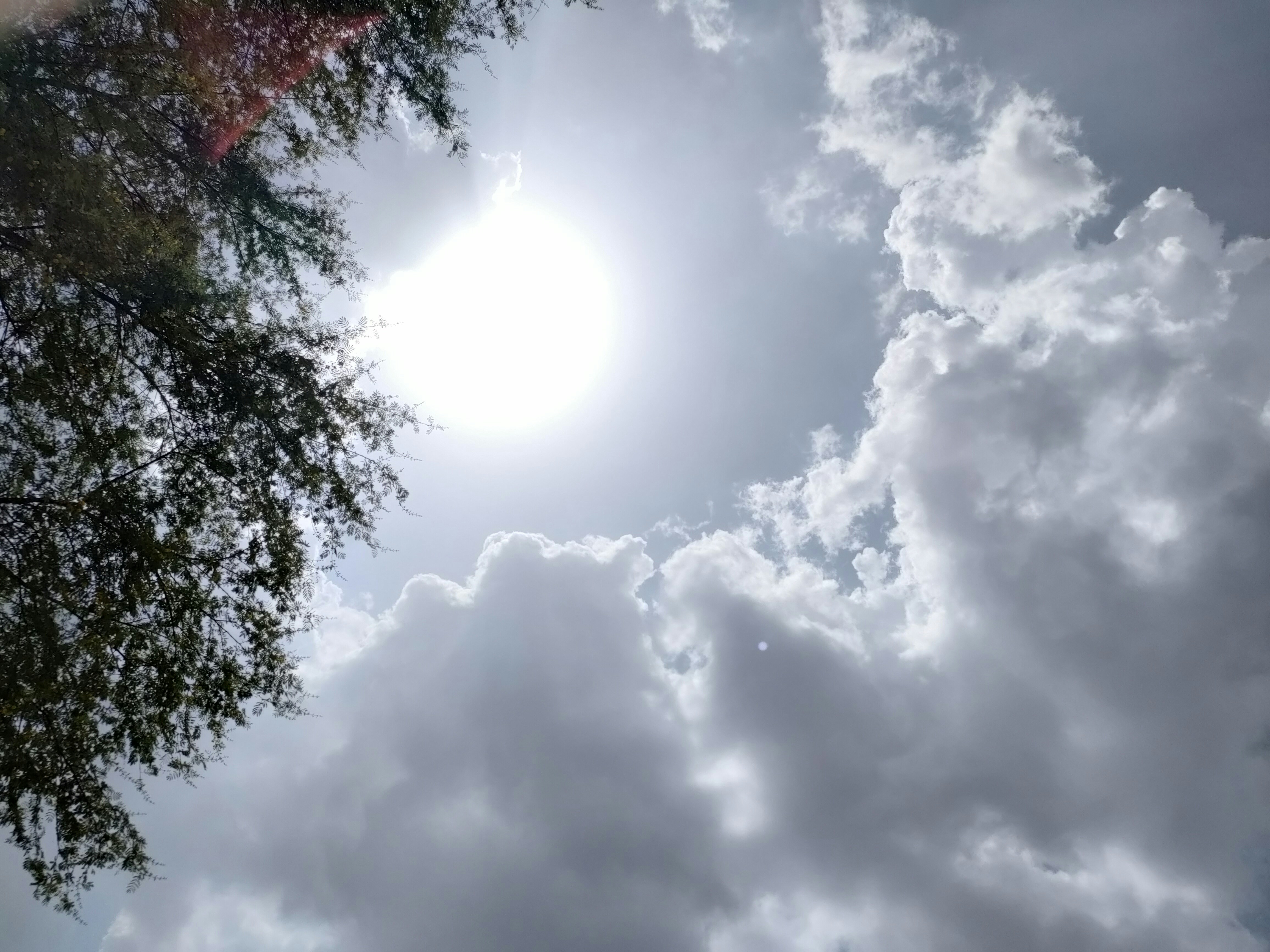 Photo by salman_graphy