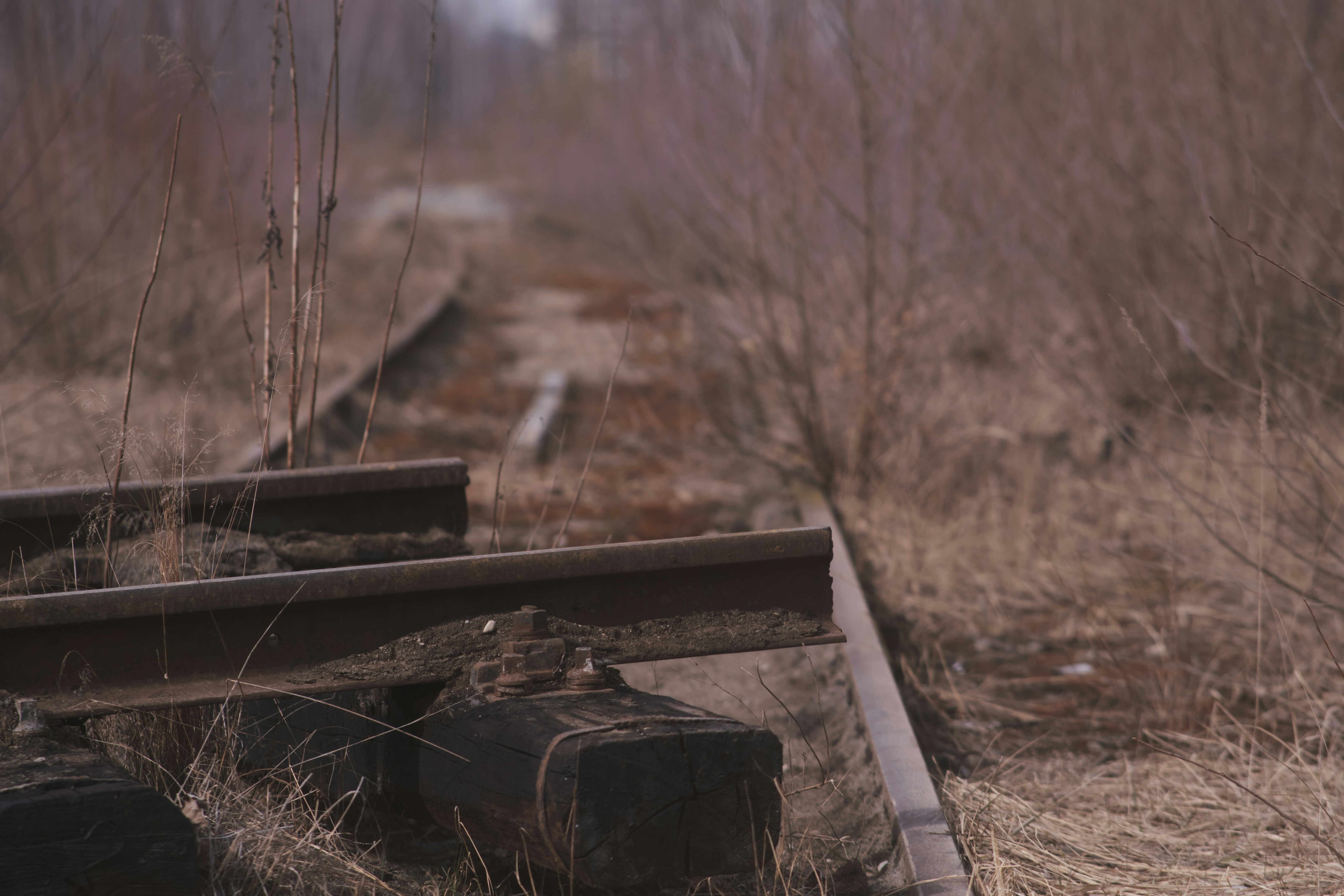 a wooden bench sitting in the middle of a field