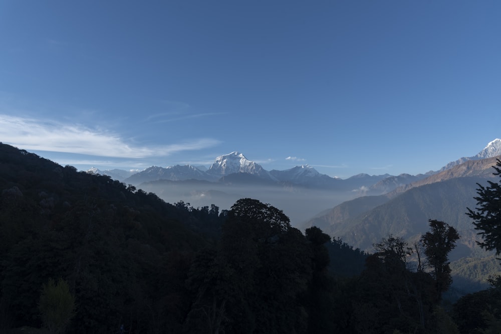 a view of a mountain range with trees in the foreground