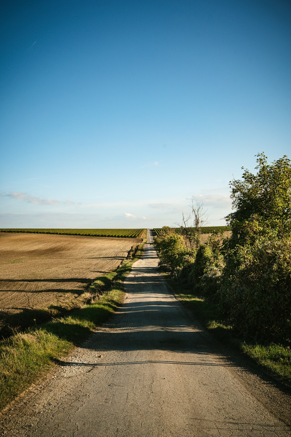 a dirt road in the middle of a field