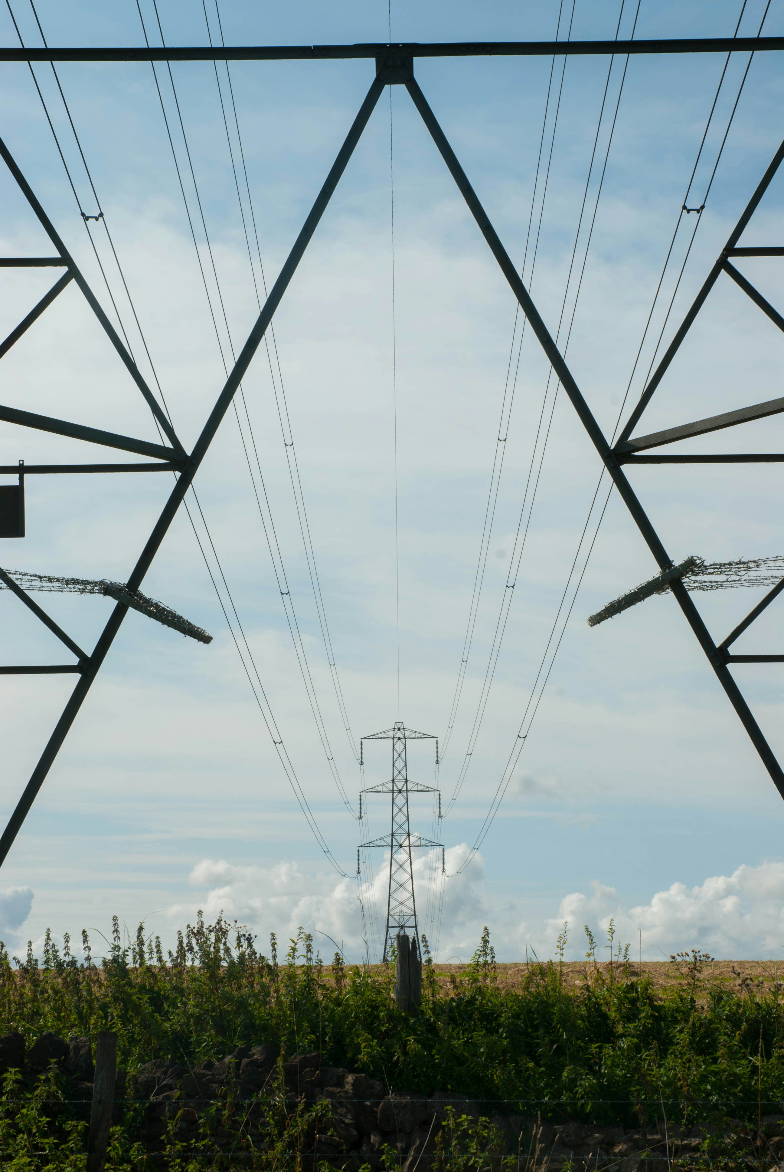 Photo by maplerockdesign