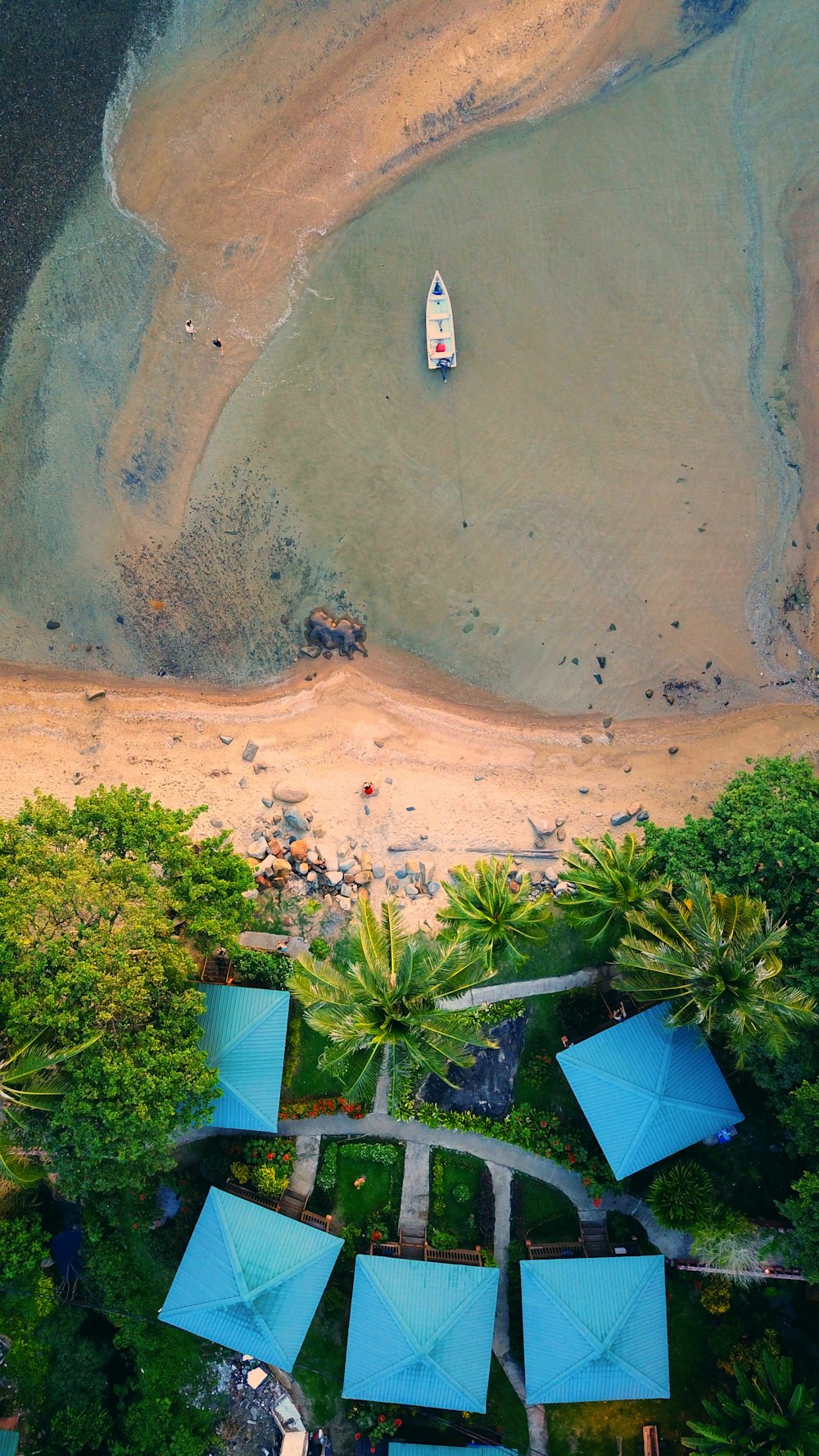 an aerial view of a beach with blue umbrellas