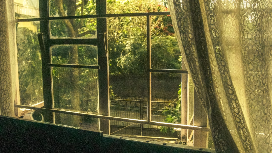 an open window with a view of trees outside, III. Yakuza modding window (2021)
