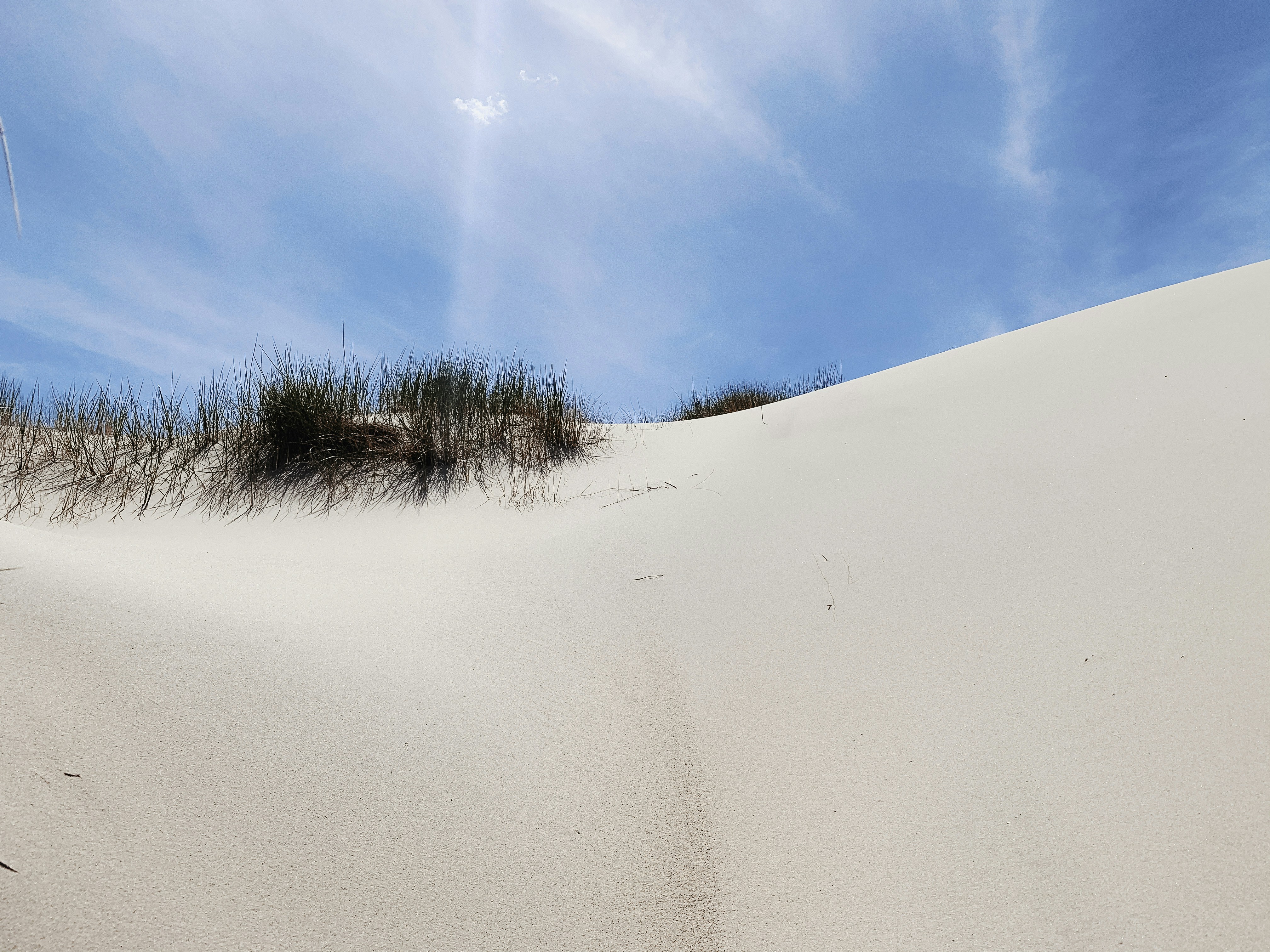a sandy dune with grass growing out of it