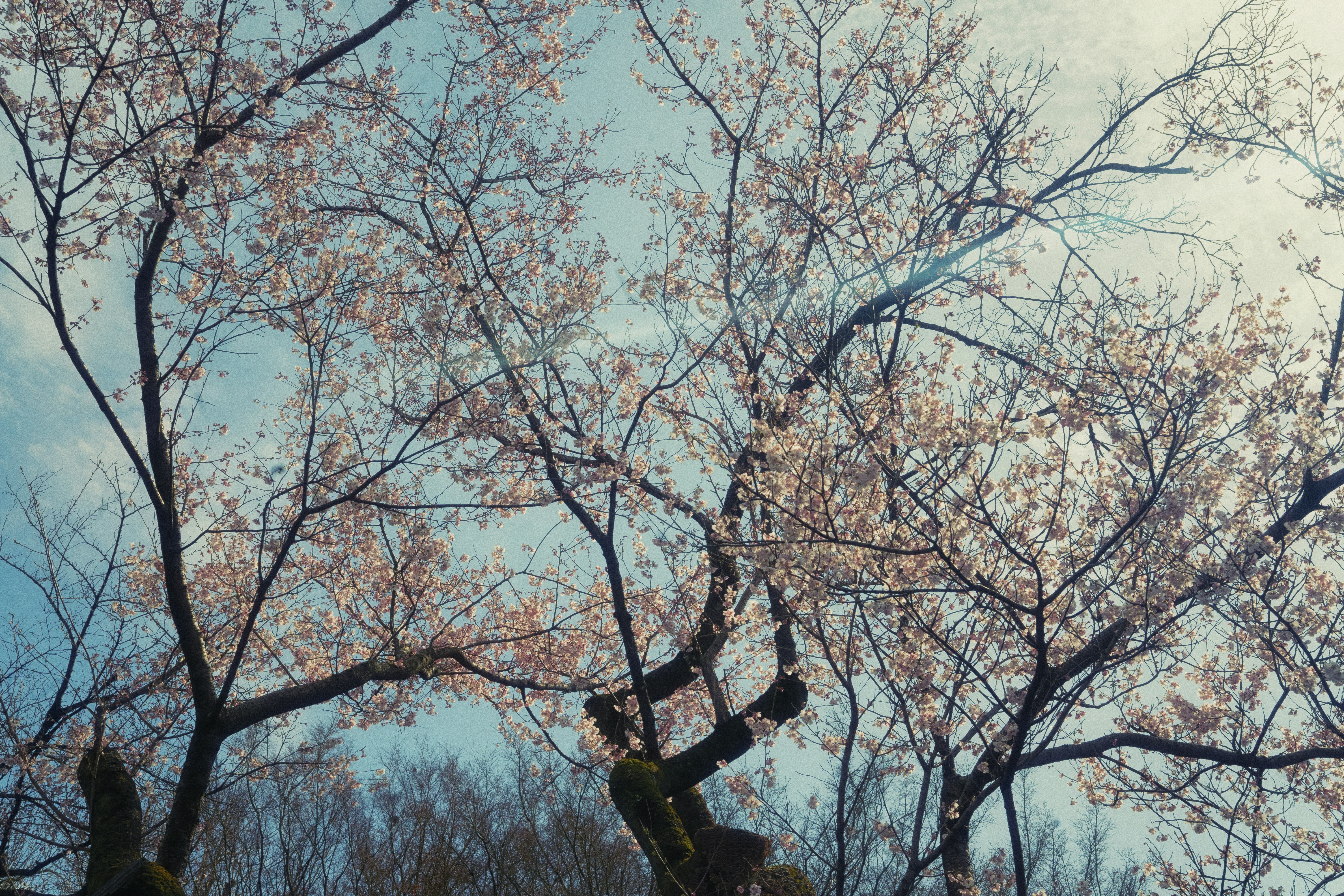 Photo by ayumikubo