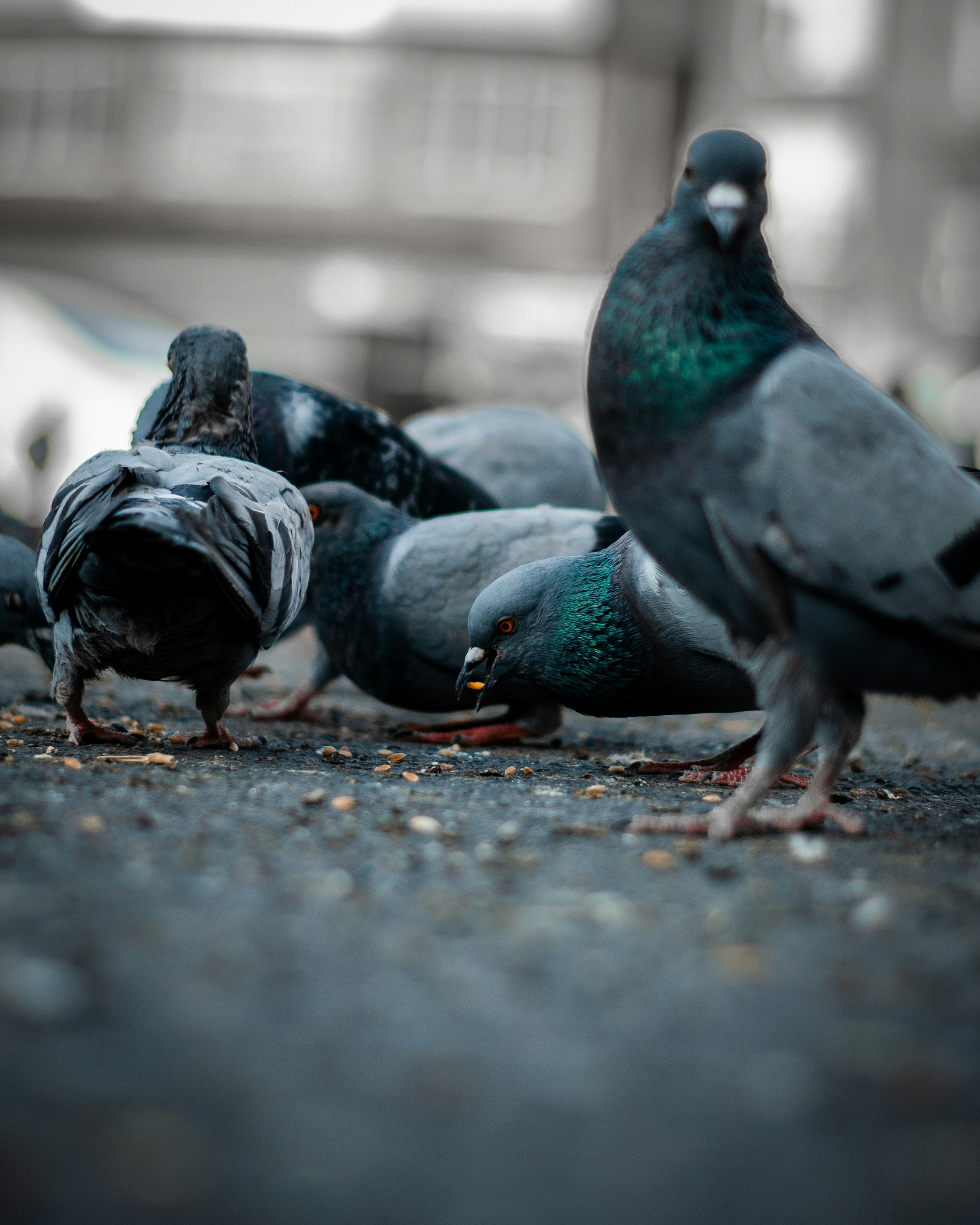 Photo by m_mohammadpour