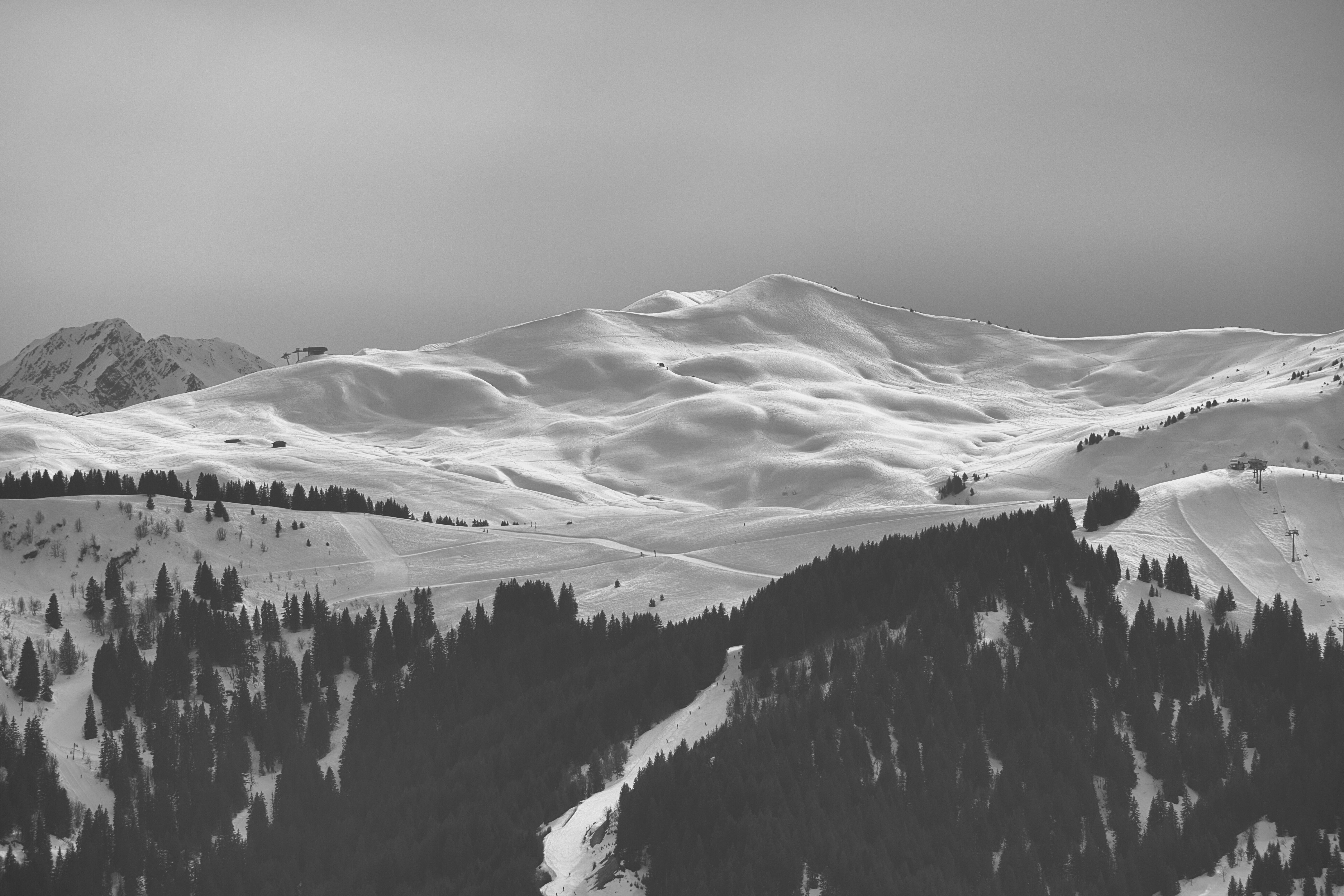 Photo by guiguiblitz