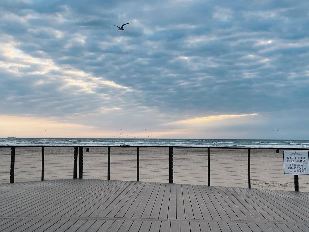 a seagull flying over a boardwalk next to the ocean