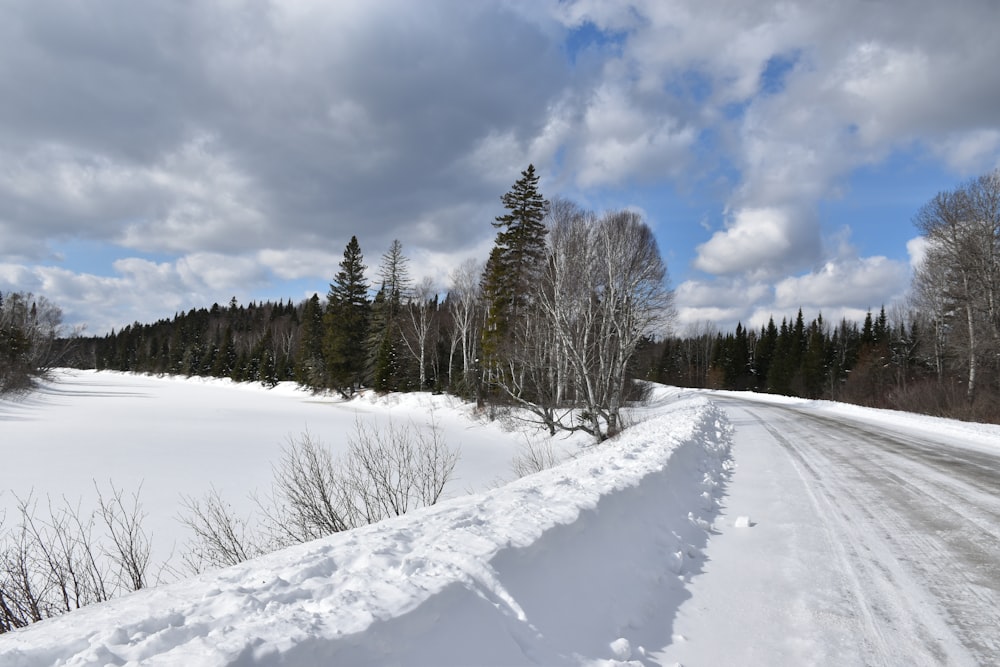 Une route enneigée au milieu d’une forêt