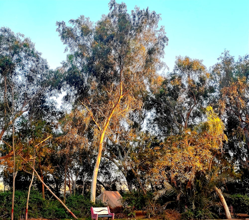 a truck is parked in front of some trees