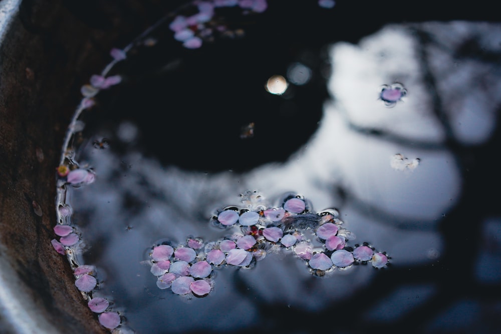 a bowl filled with water and flowers floating on top of it