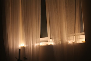 Sheer Chiffon