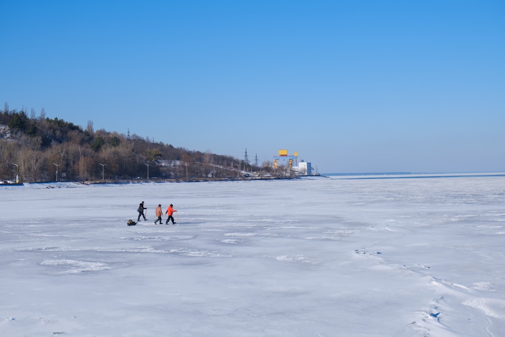 Un grupo de personas caminando por un campo cubierto de nieve