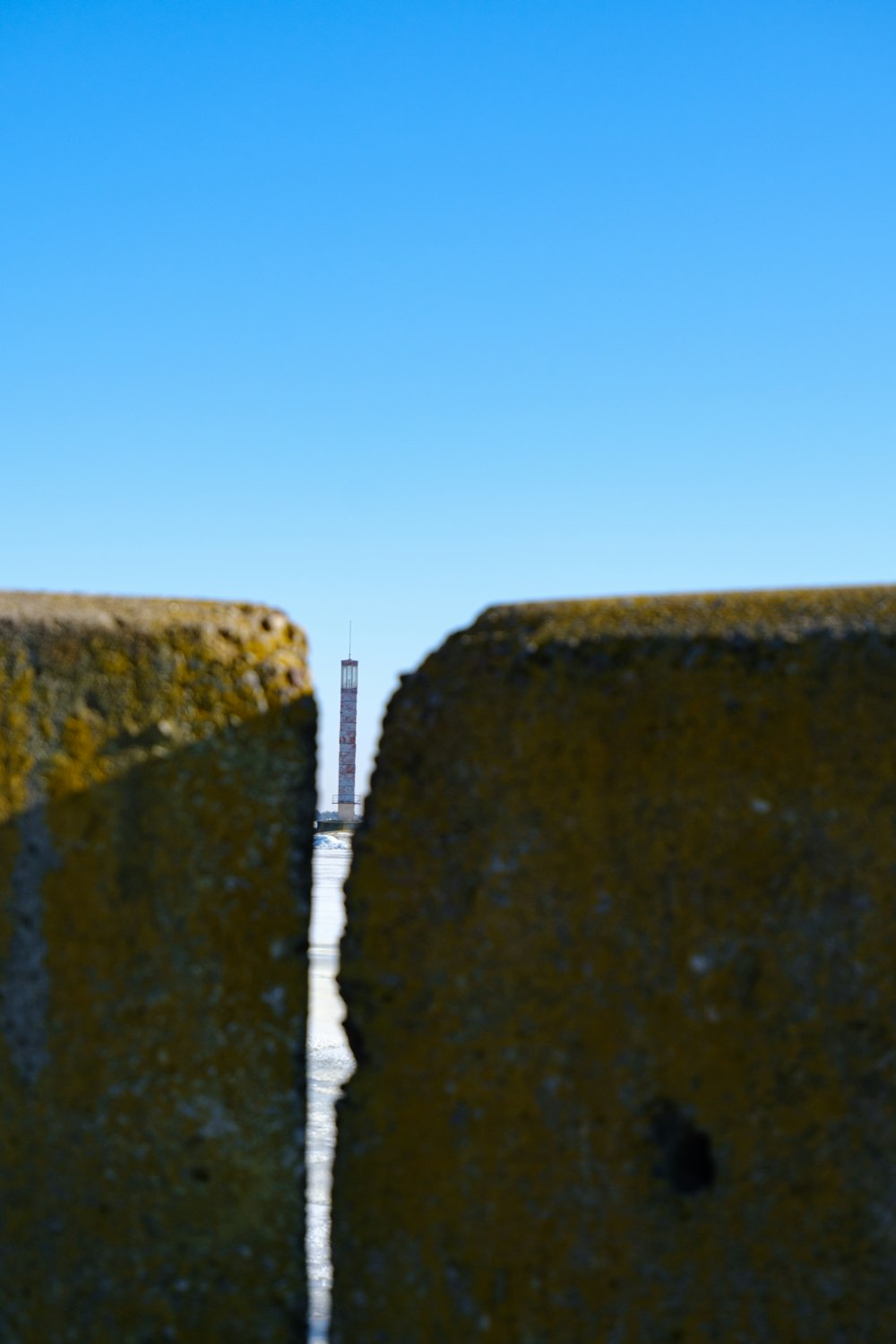 a bird flying over a stone wall with a blue sky in the background