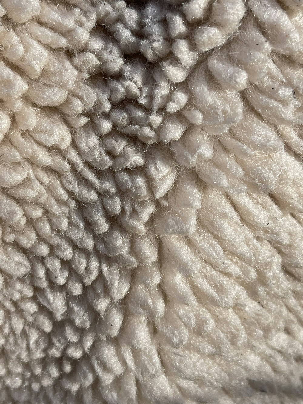 a close up view of a sheep's wool