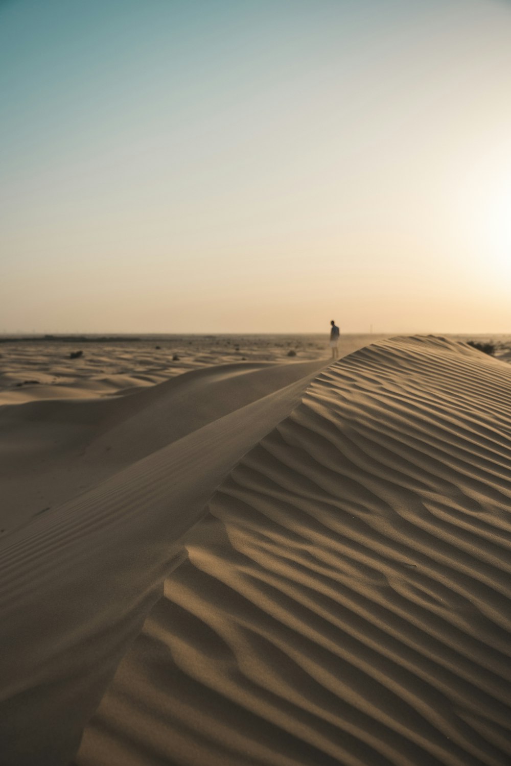 a person standing in the middle of a desert