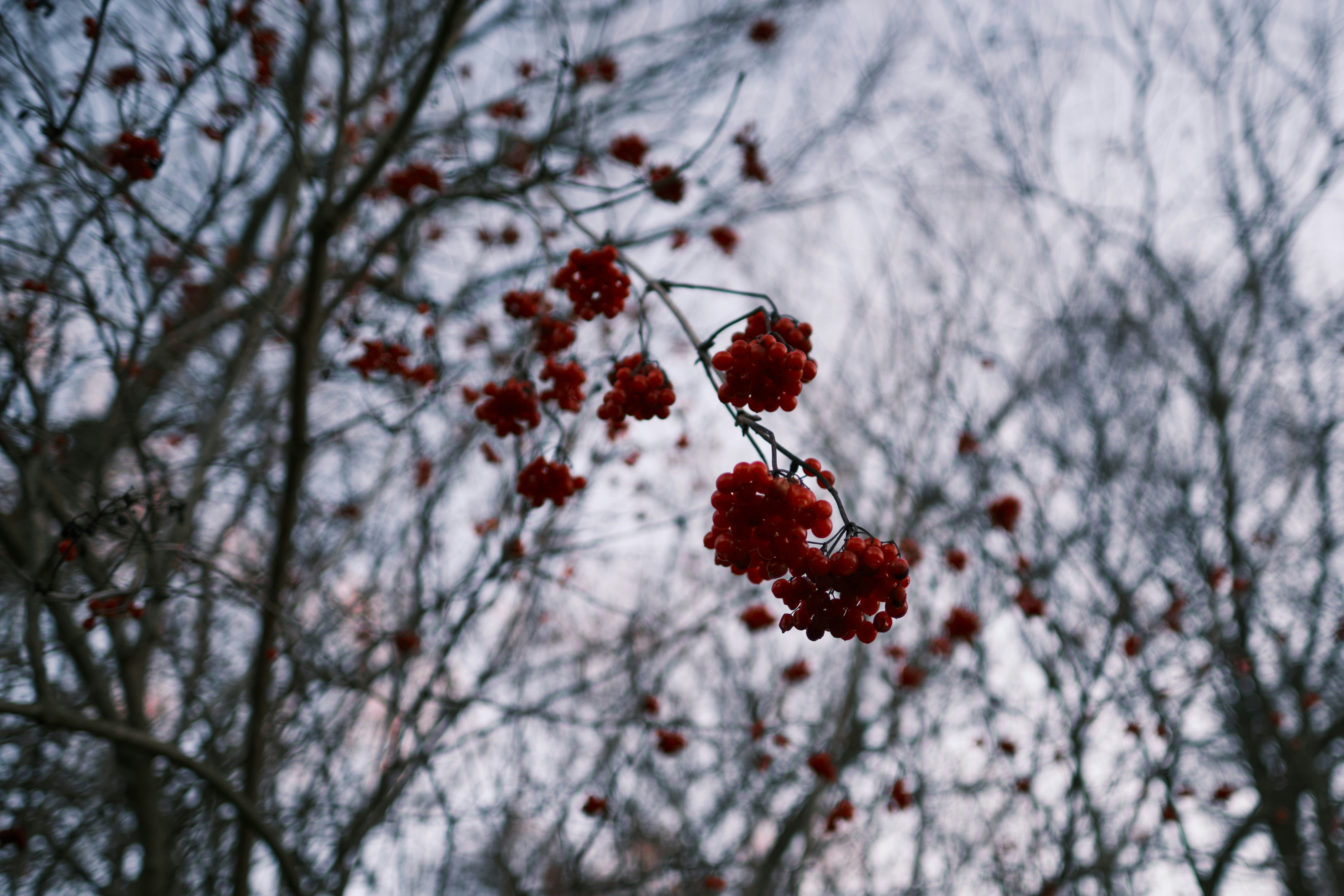 Photo by jnswlf