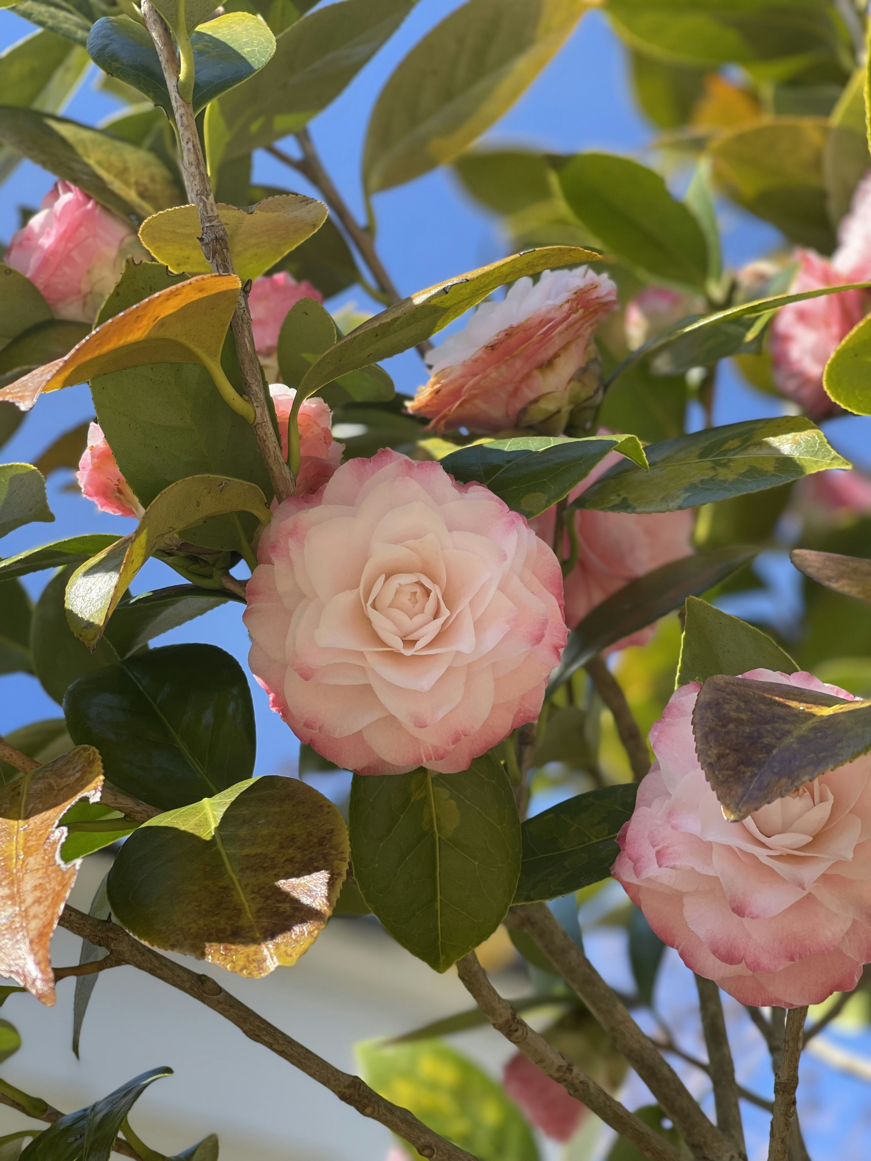 Photo by luxeaesthetics302