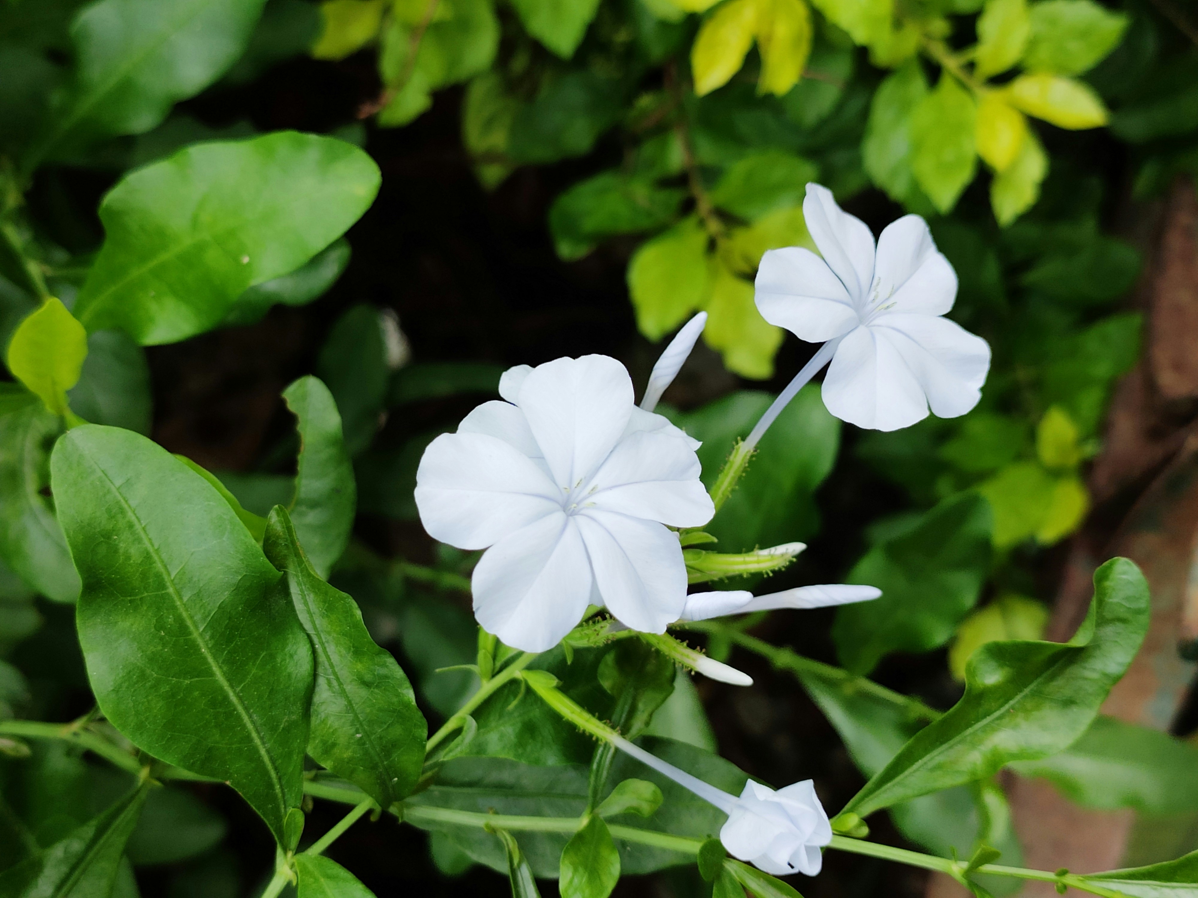 Photo by raushan2511