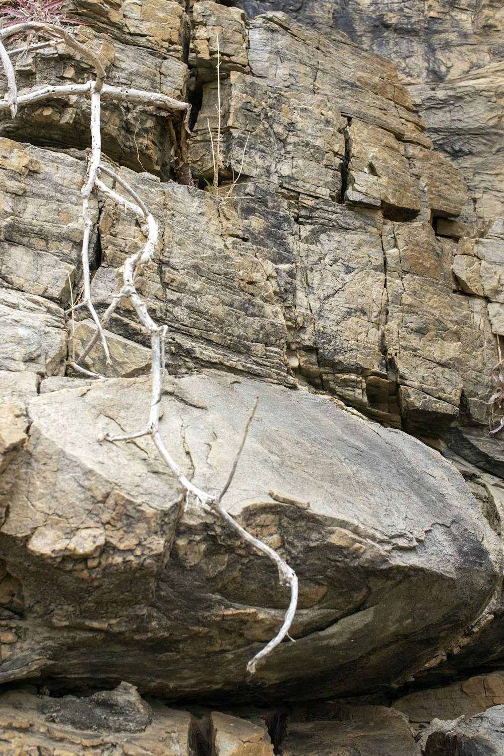 a bird sitting on top of a large rock