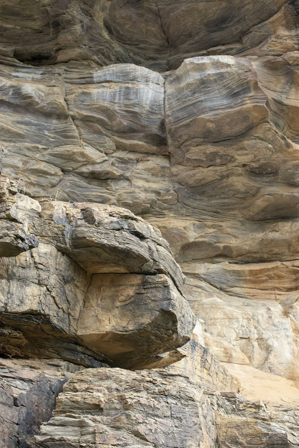 Eine Bergziege steht auf einer Felswand