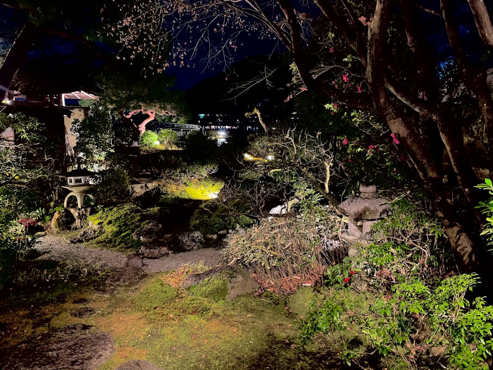 Un sendero en medio de un bosque por la noche