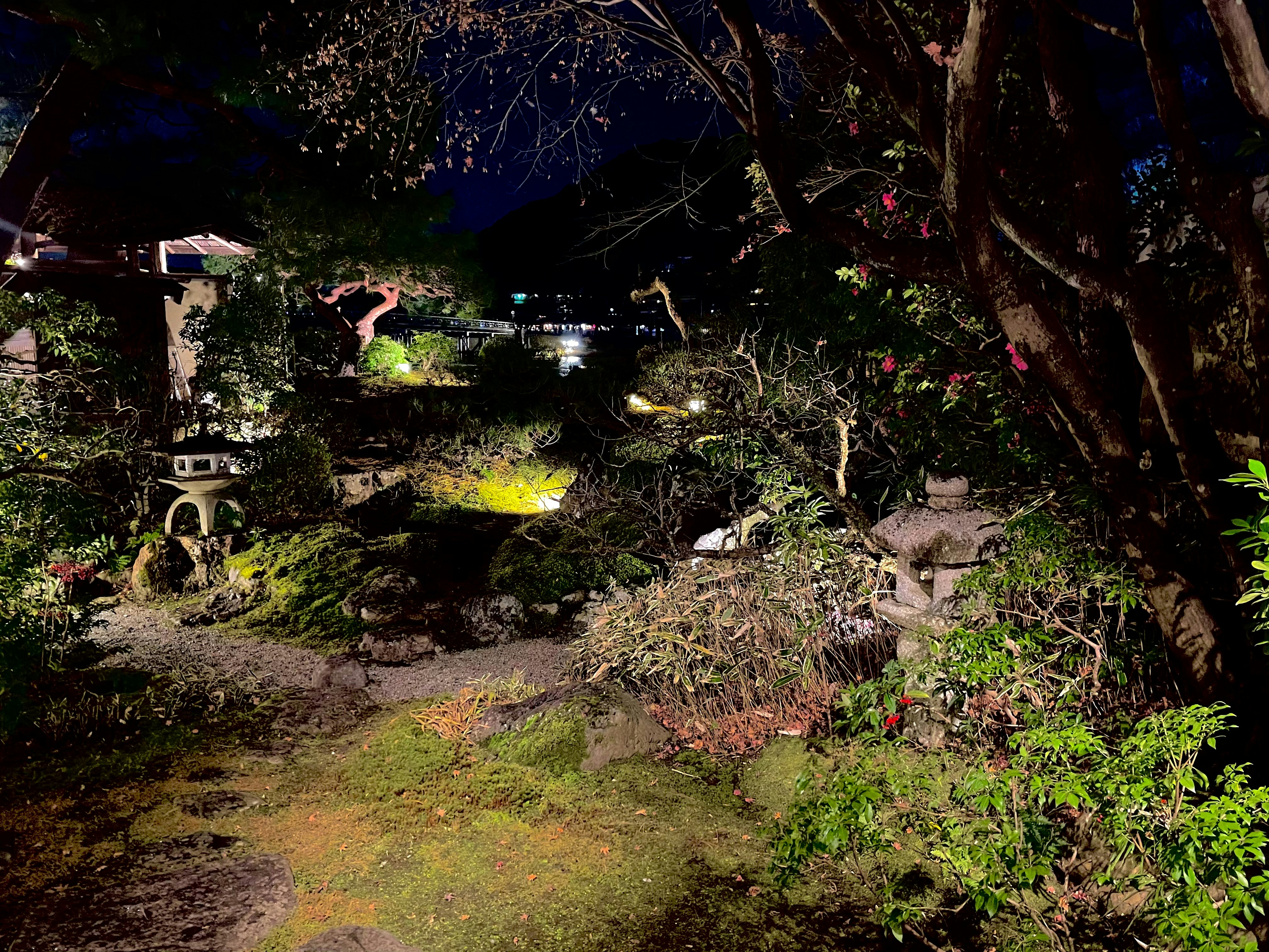 a path in the middle of a forest at night