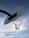 Close-up of a handmade basketball net hanging on an outdoor hoop with sunlight streaming through.
