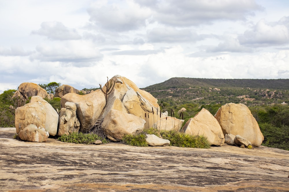 a group of rocks sitting on top of a dirt field