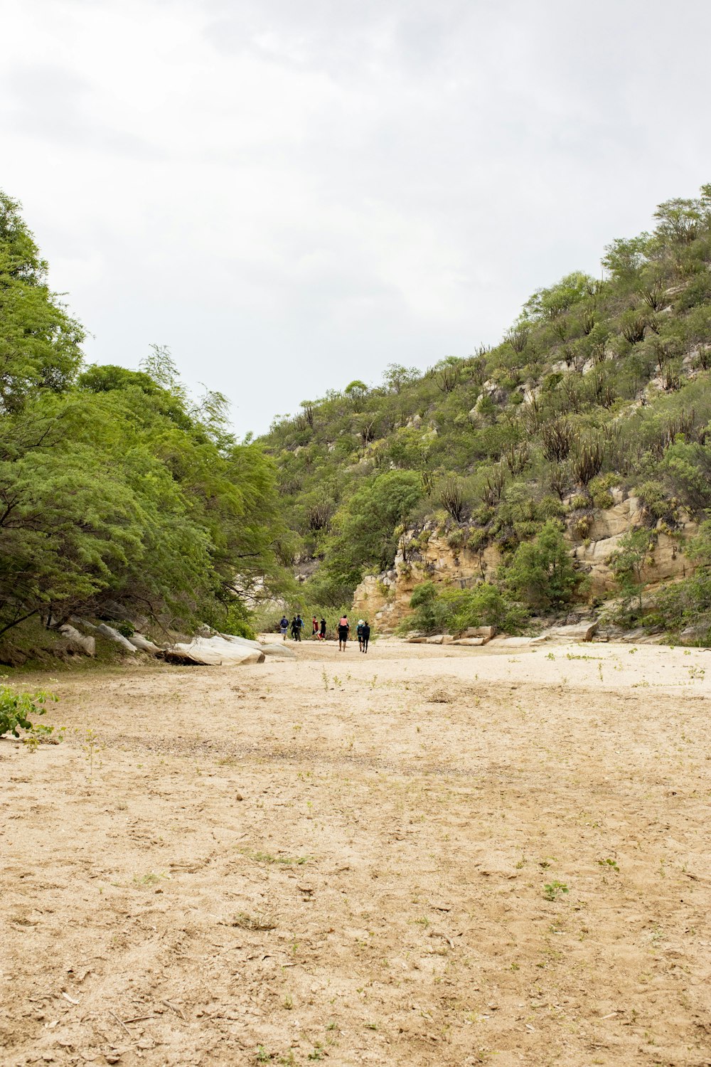 Un grupo de personas caminando por un camino de tierra