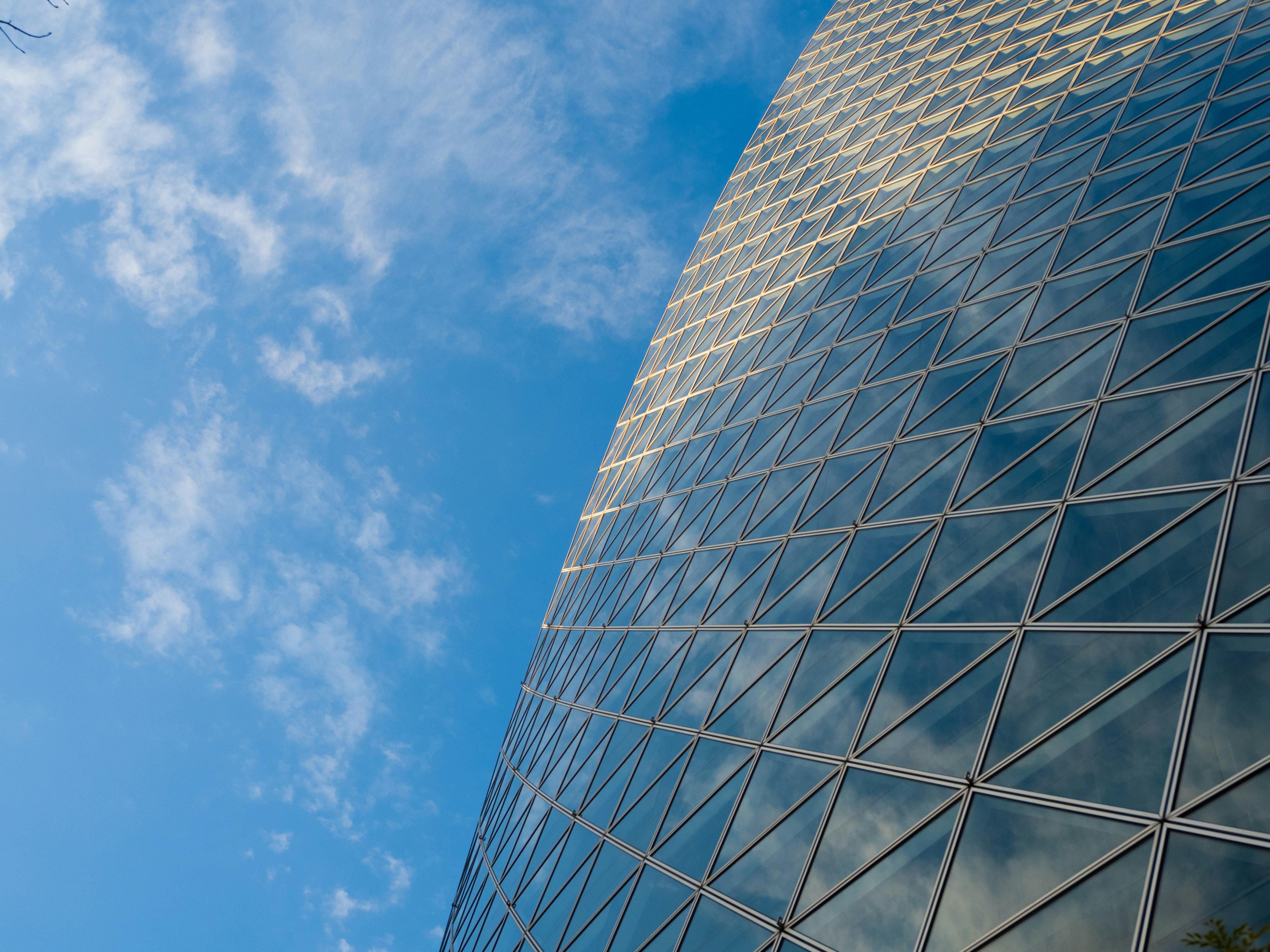 Photo by shellingfordyu