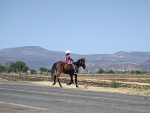 A person wearing a white cowboy hat and a plaid shirt rides a brown horse on a rural road with wide expanses of dry fields and distant mountains in the background. The sky is clear and blue, and green trees dot the landscape.