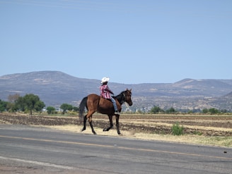A person wearing a white cowboy hat and a plaid shirt rides a brown horse on a rural road with wide expanses of dry fields and distant mountains in the background. The sky is clear and blue, and green trees dot the landscape.